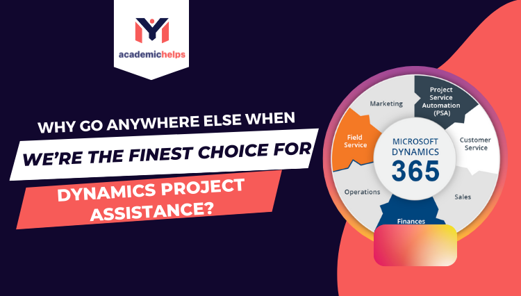 dynamics project assistance